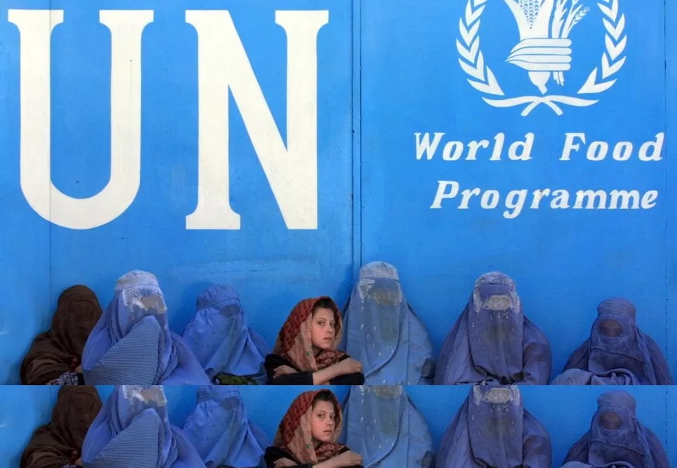 Taliban ban Afghan female staff, UN says