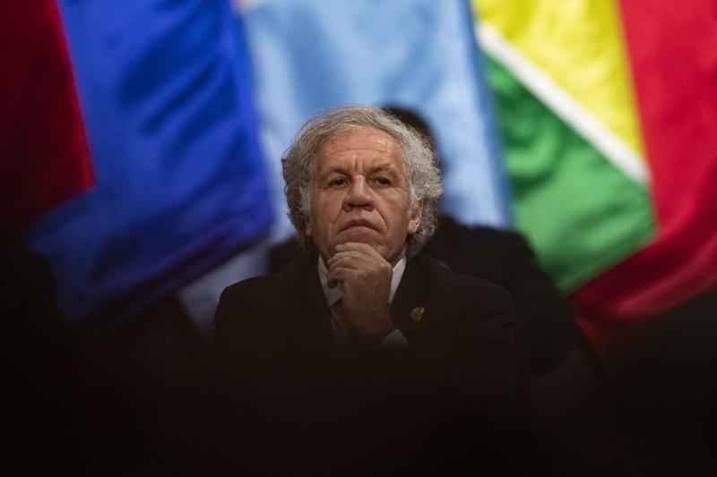US supports calls for external ethics probe into OAS chief